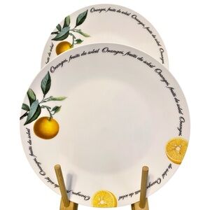 QUEEN'S Fine Bone China ☆ Fruits du Soleil 8-5/8" Salad Plates ☆ Set of 2